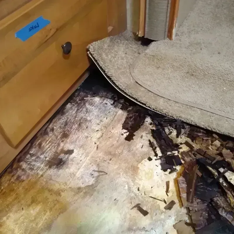 Best Wood Floor Water Damage Service in Atkins, IA